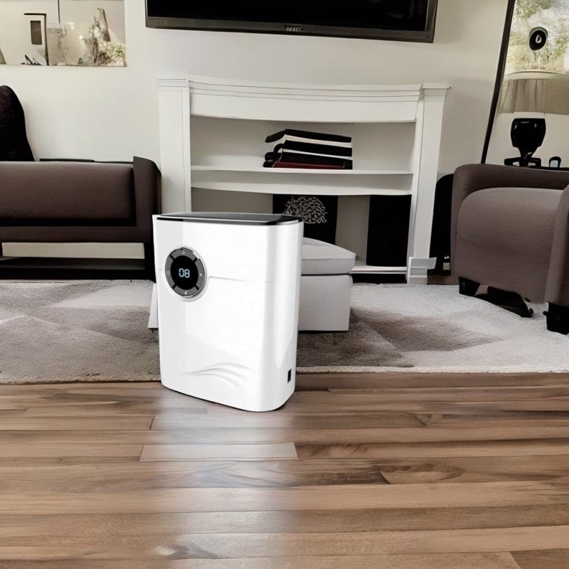 Dezumidificator AERIUM DH500 Ionic
