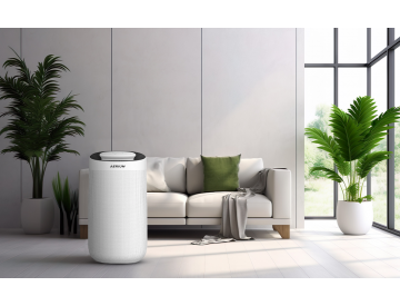 Umiditatea în casă - cum să vă ocupați de ea?