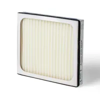 Filtru Active ION de rezervă pentru dezumidificatorul Woods AD20G/AD30G Filtru Active ION de rezervă pentru dezumidificatorul Woods AD20G/AD30G